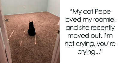 These 35 Wholesome Cat Posts Will Brighten Up Your Day.