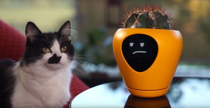 This Planter Turns Your Plants Into Tamagotchi Like Pets