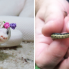 26 Adorable Snakes That Will Make You Love Them Instead Of Fear