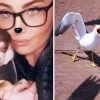 Amazing Moment! Seagull Grabs Gizmo The Chihuahua From A Garden Before Soaring Away