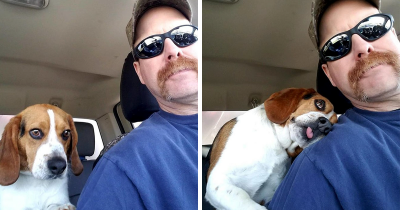 Beagle Scheduled For Euthanasia Gave Warm Hugs To The Man Who Saved Him
