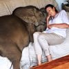 Woman Saved A Baby Elephant And Now He Follows Her Everywhere.