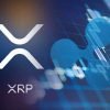 Learn more about XRP/Ripple Coin